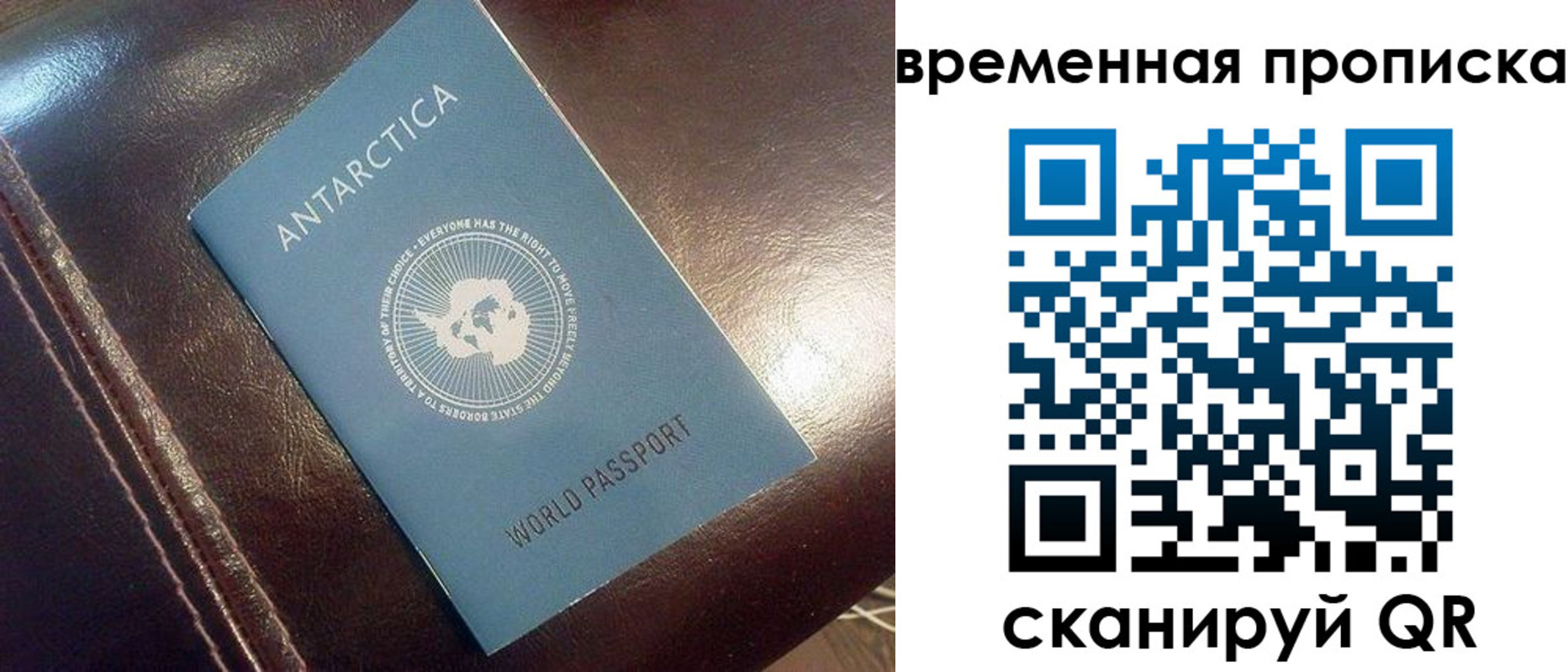 прописка паспорт в Тимашёвске
