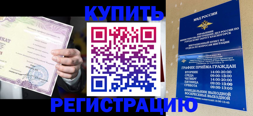 временная регистрация собственник в Тимашёвске